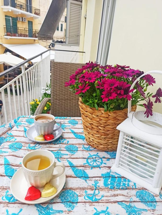 Appartement Elmar